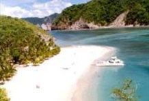 Tortuga Island Cruise